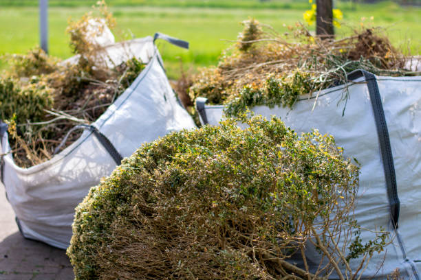 Best Electronics and E-Waste Disposal  in Charlotte Hall, MD